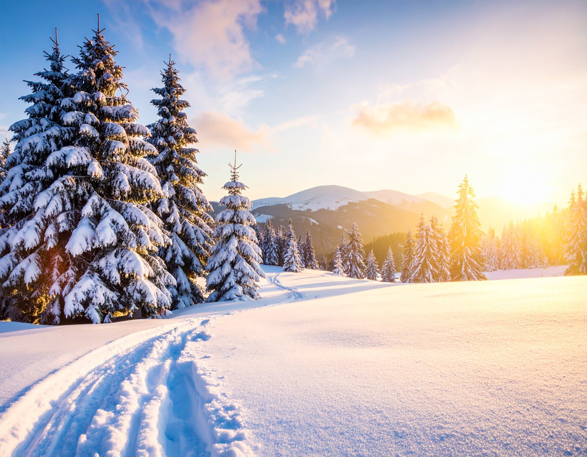 Featured image for the article